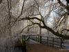 Winterwonderland-20